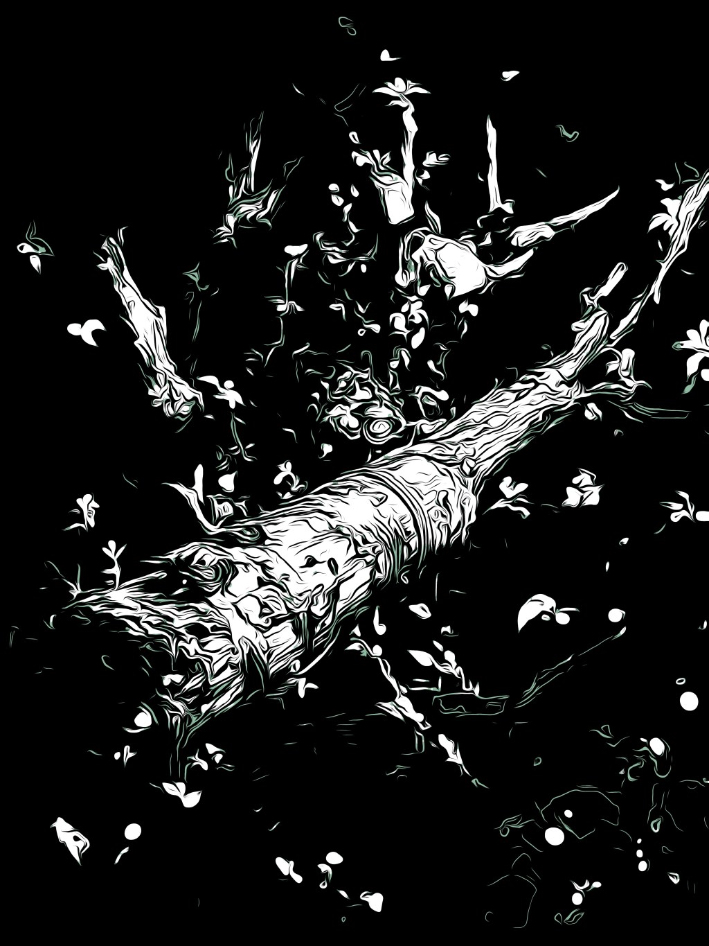 Black & White&nbsp;Woods